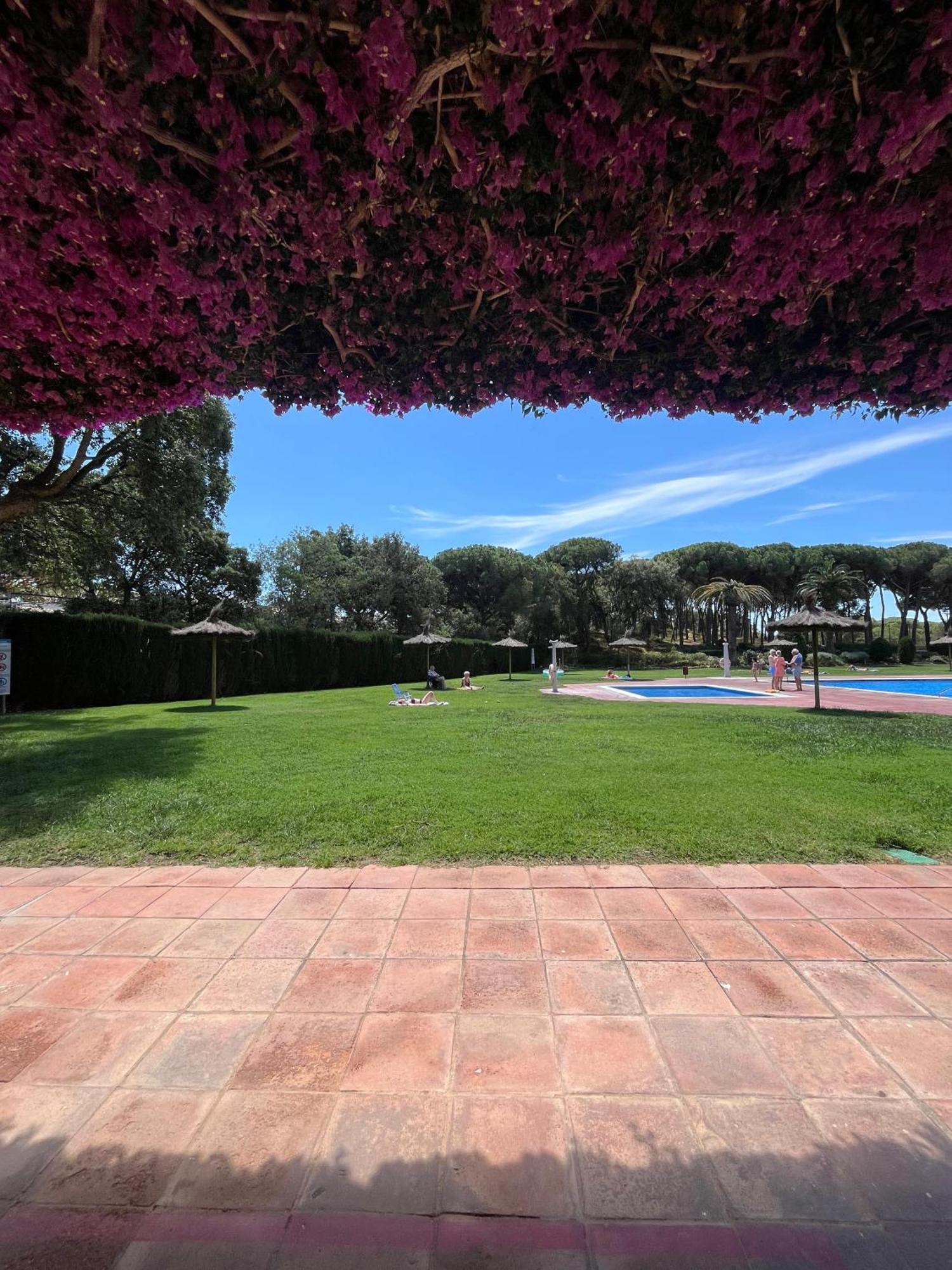 Calella De Palafrugell - Piso Reformado Con Piscina, Wifi Y Parking Gratuito Apartamento Exterior foto